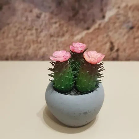 Διαμέρισμα Sunstone Ζλάτιμπορ