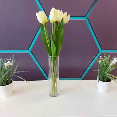 Apartamento Sunstone *