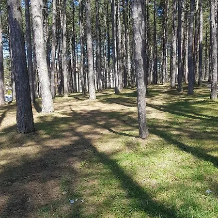 Apartament Sunstone *