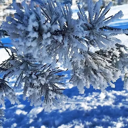 Sunstone Apartament *