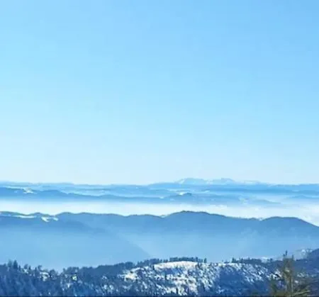 Sunstone * Ζλάτιμπορ