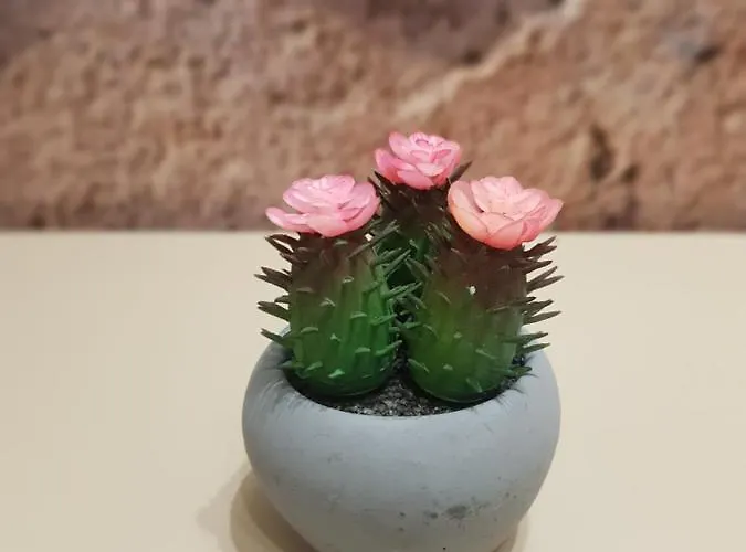 شقة Sunstone زلاتيبور