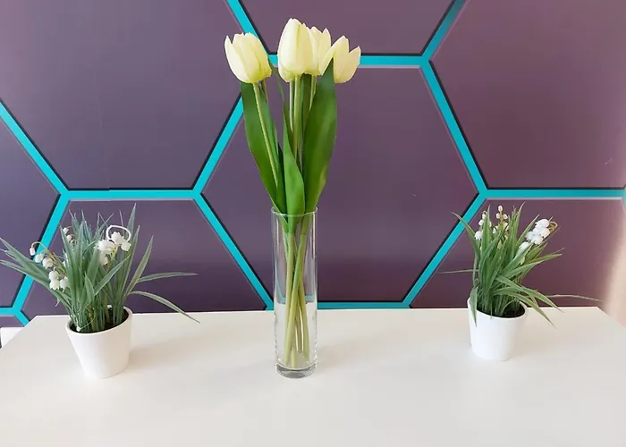 Appartamento Sunstone *