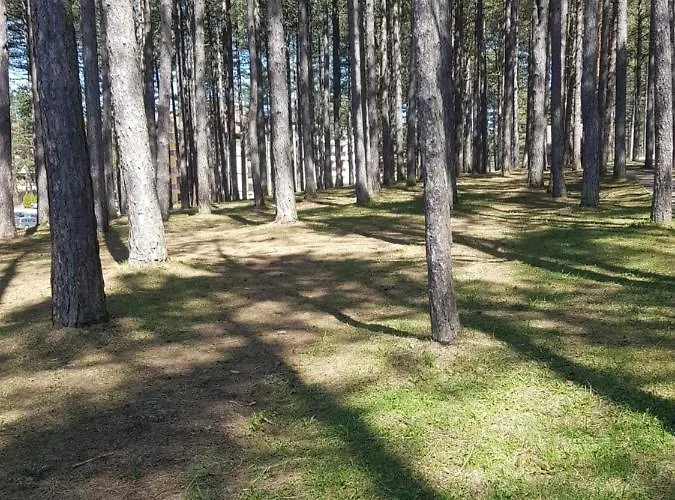 Appartamento Sunstone *